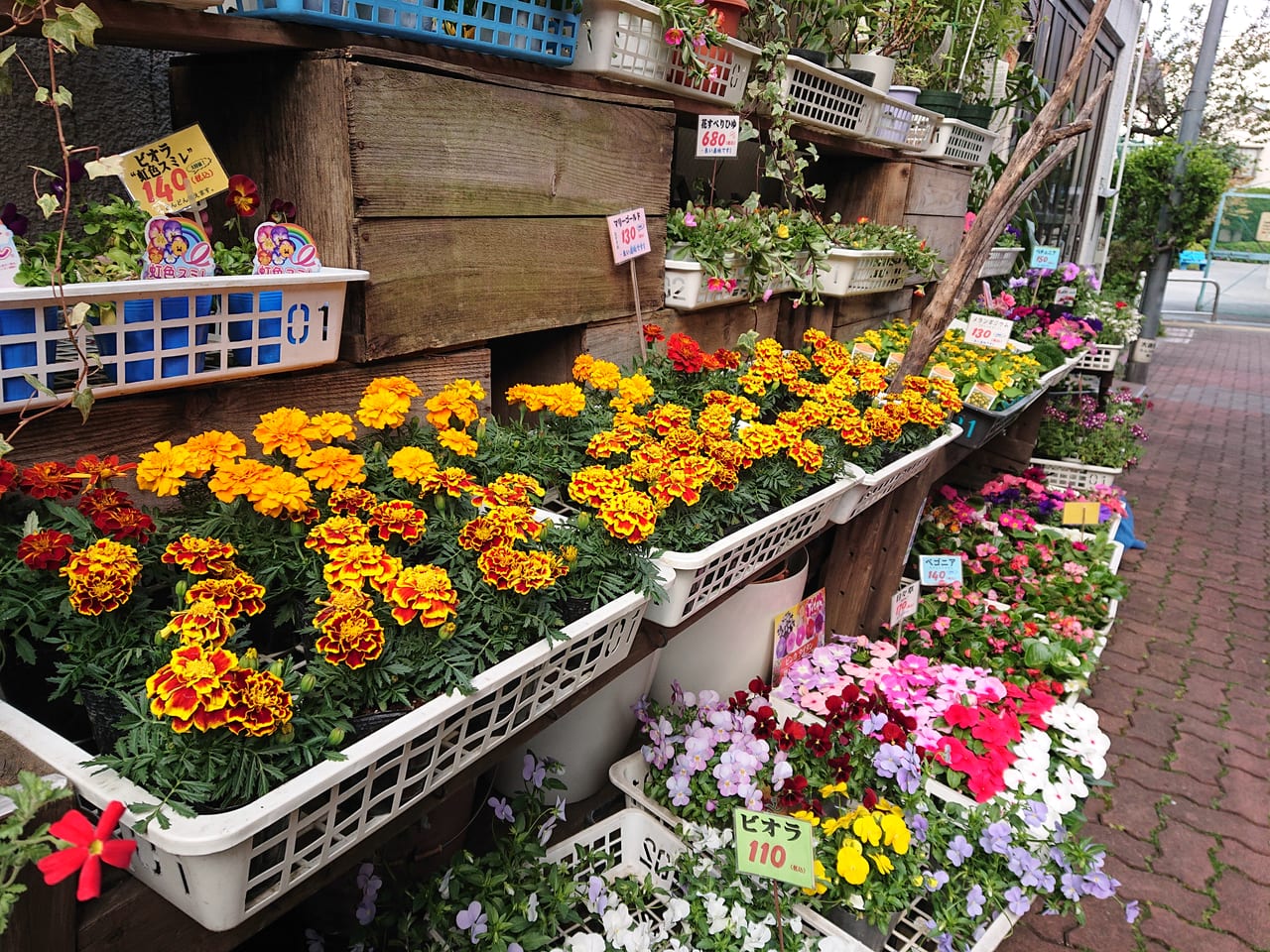 大田区 平和島駅から徒歩２分 花の店 やや の季節のお花や野菜をおうち時間で育ててみませんか 号外net 大田区