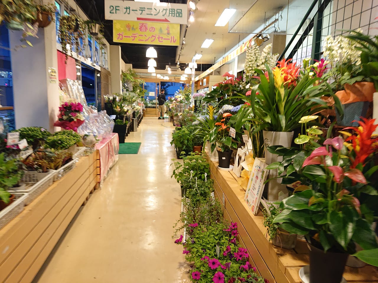 大田区 雪が谷大塚の花工場田園調布店は生花から野菜の苗 種 ガーデニング用品まで豊富な品揃え 号外net 大田区