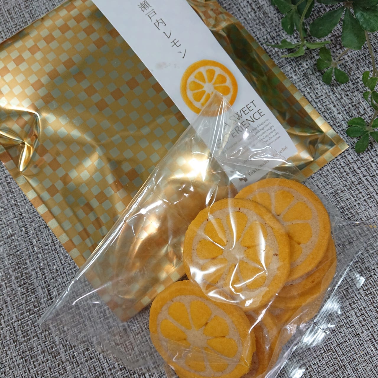大田区 見た目も可愛くて美味しい 夏季限定のモロゾフ瀬戸内レモンのクッキーは夏におすすめの爽やかな味わい 号外net 大田区