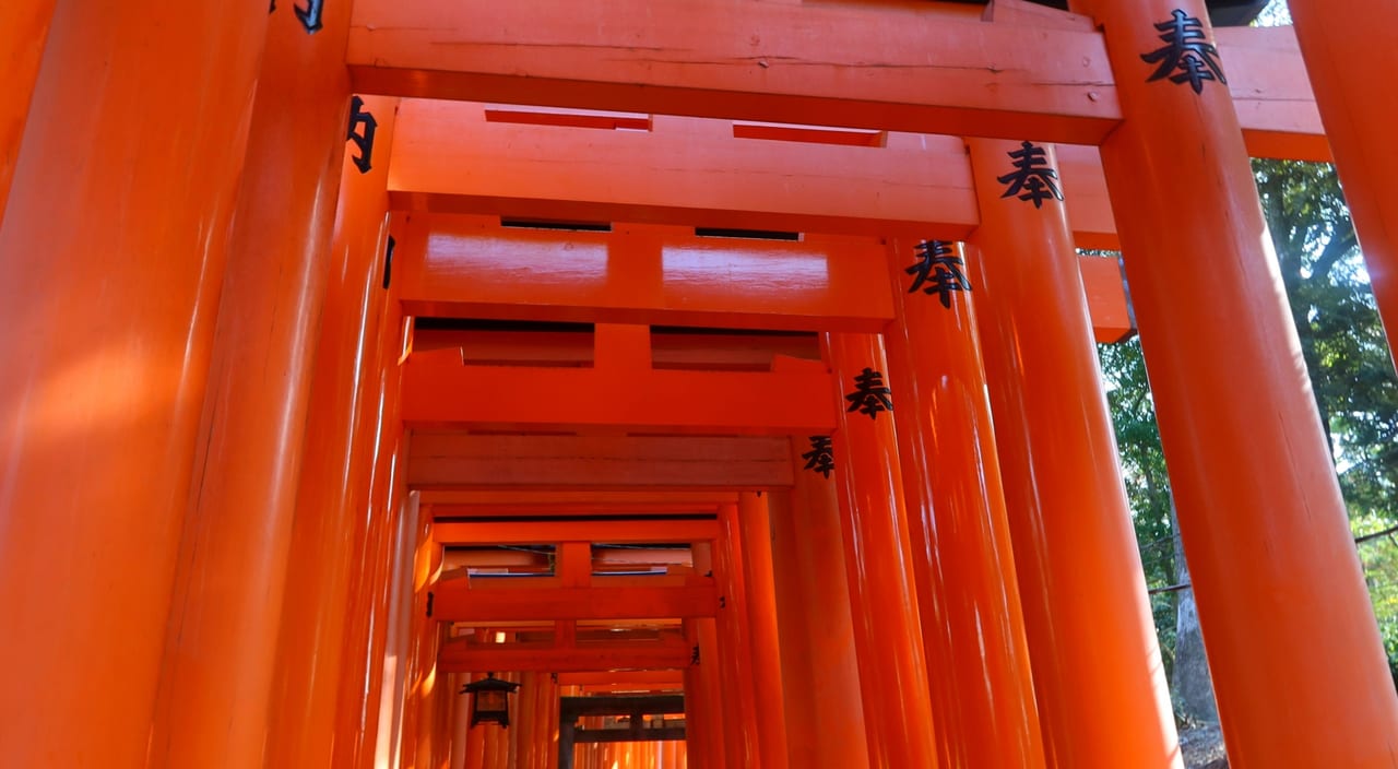 穴守稲荷神社でネオン奉納祭