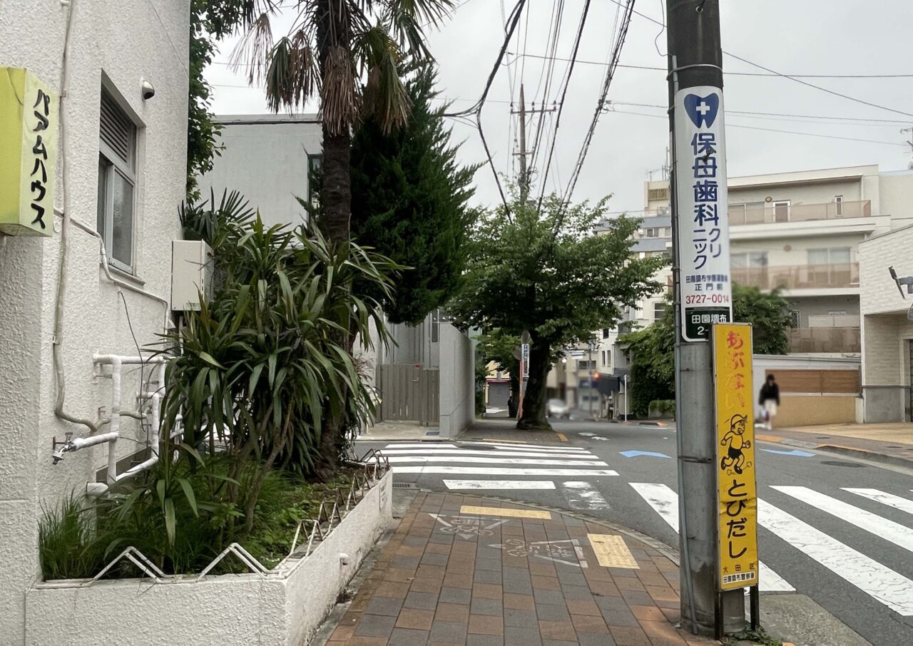 style.selected_clothes