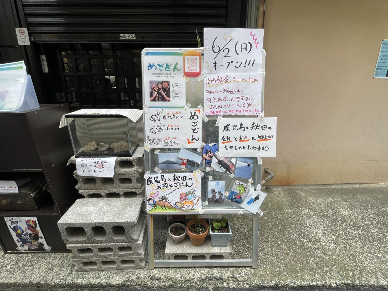 めごどん