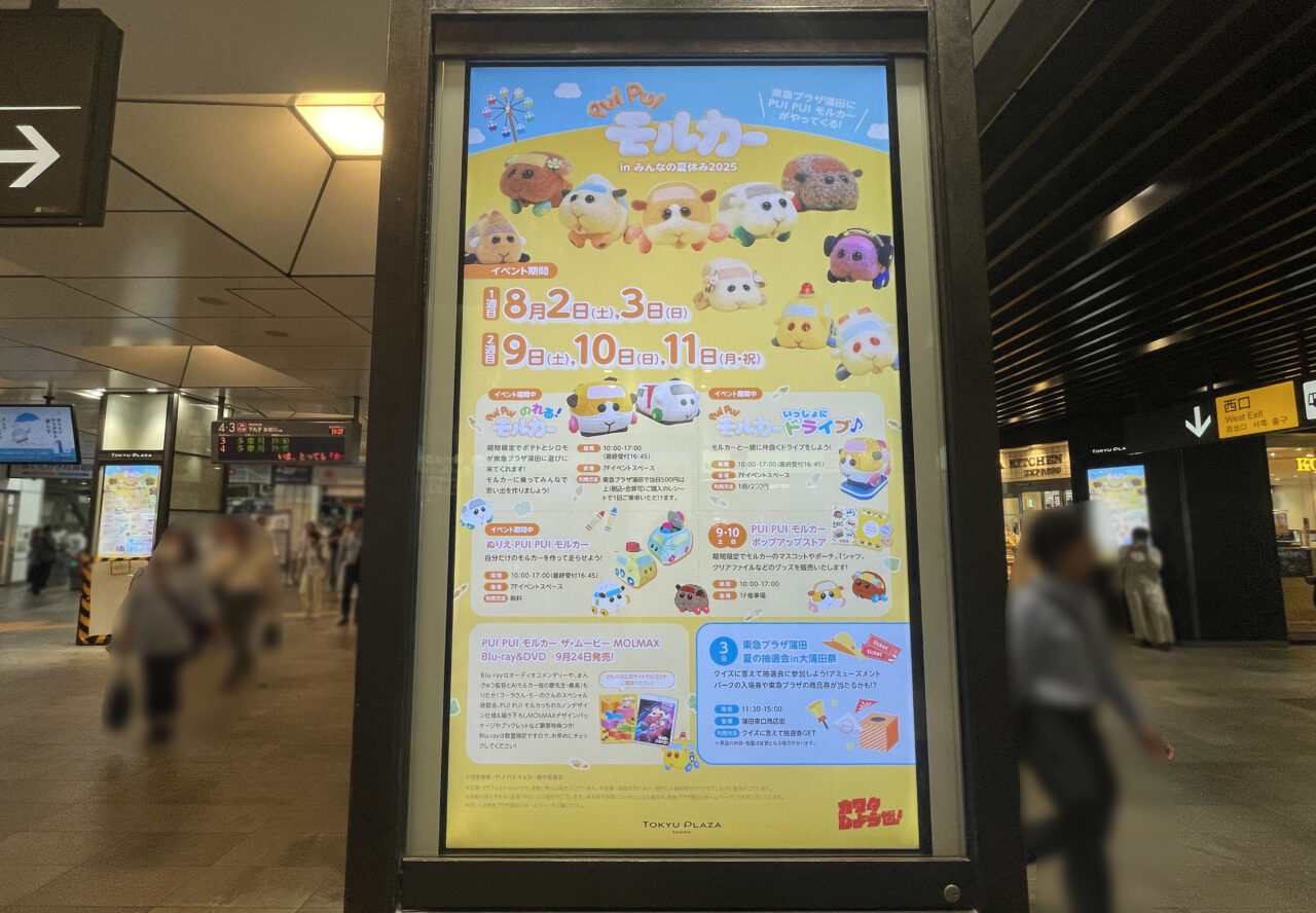 PUI PUI モルカーinみんなの夏休み2025