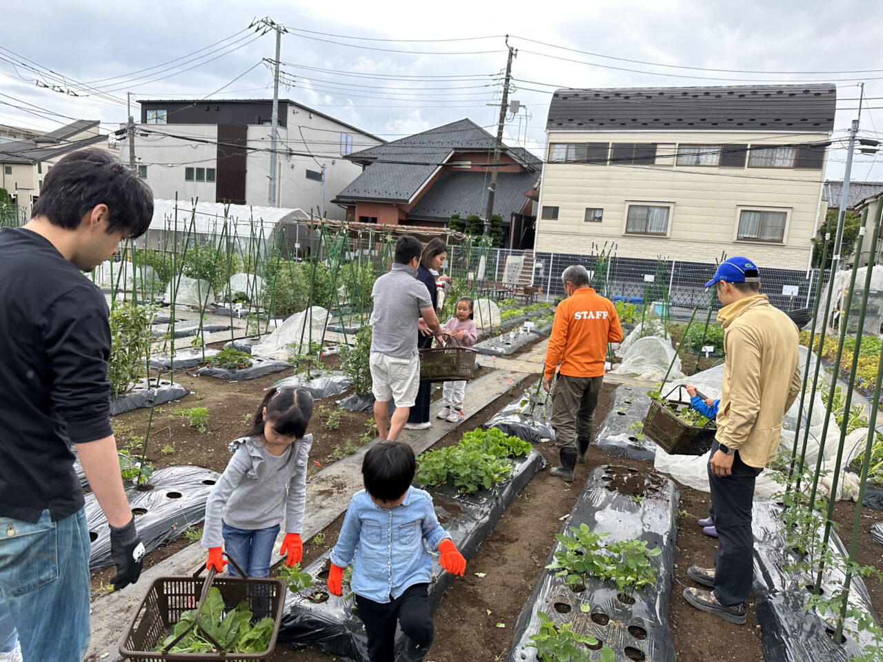 シェア畑キッズ