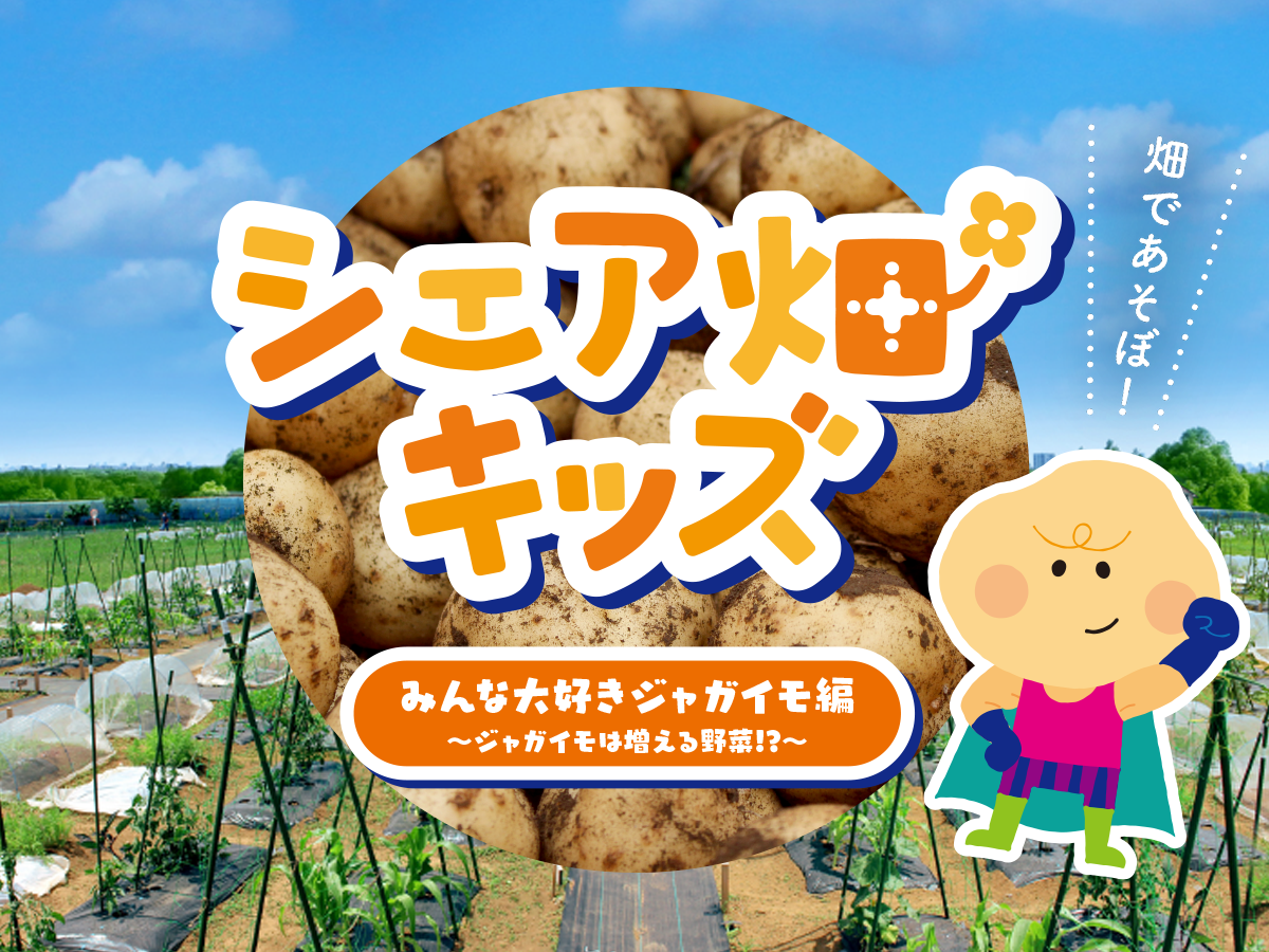 シェア畑キッズ