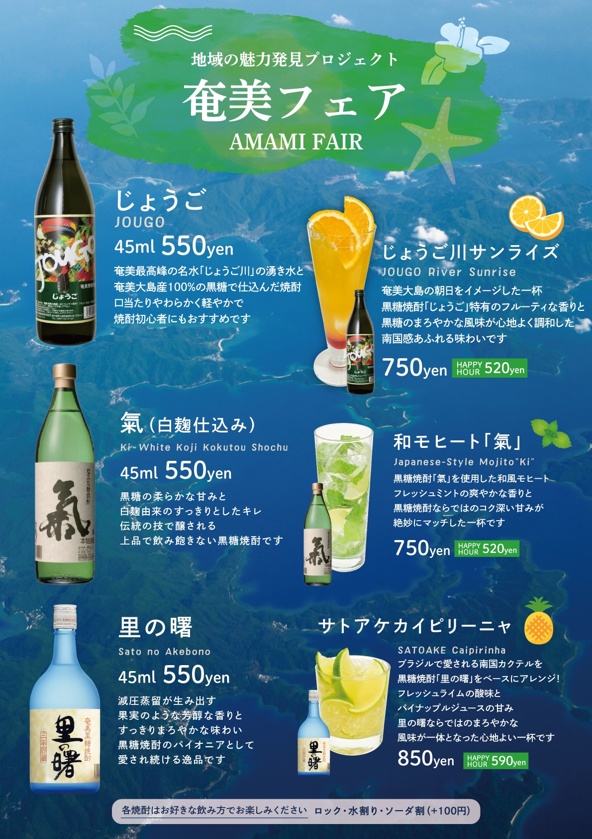 奄美フェアチラシ
